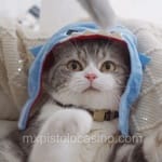 Avatar de Jorge Treviño